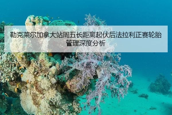 lei-ke-lai-er-jia-na-da-zhan-zhou-wu-zhang-ju-li-qi-fu-hou-fa-la-li-zheng-sai-lun-tai-guan-li-shen-du-fen-xi-1-540.jpg