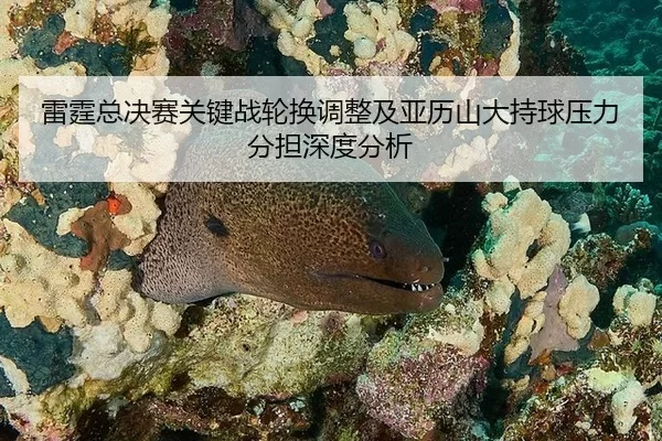 雷霆总决赛关键战轮换调整及亚历山大持球压力分担深度分析